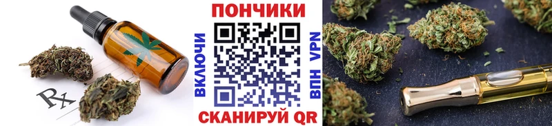 Купить закладки  Чебаркуль  Canna-Cookies конопля 