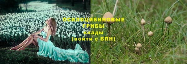 винт Краснослободск