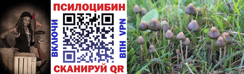 Купить  Чебаркуль  Псилоцибиновые грибы Magic Shrooms 